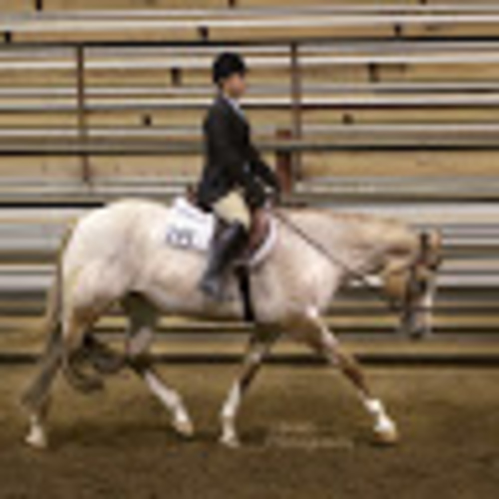 Meet your Posher, Chloe